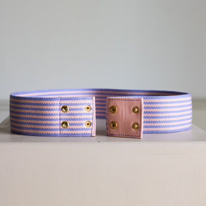 Belt - Pastel Blast